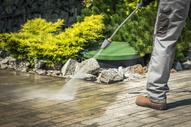 Best Soft Washing  in Malabar, FL